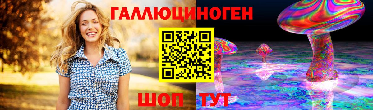 Шелехов  Галлюциногенные грибы Psilocybine cubensis  Вход с VPN 