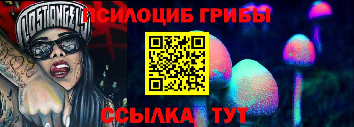 Галлюциногенные грибы Psilocybe Шелехов